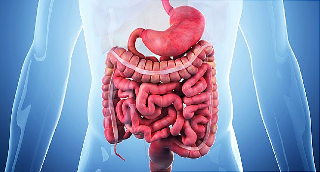 Read more about the article Penyakit Crohn: Gejala, Penyebab dan Penanganannya