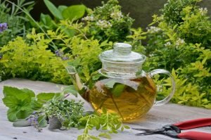 Read more about the article Berbagai Pilihan Teh Herbal Yang Bisa Bantu Redakan Sembelit